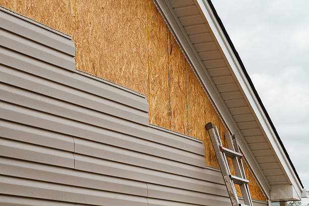 Professional Emergency Siding Repair technician working in Pinellas Park, FL